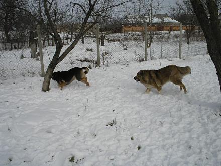     
: 31  2011  042.jpg
: 589
:	221.5 
ID:	6596