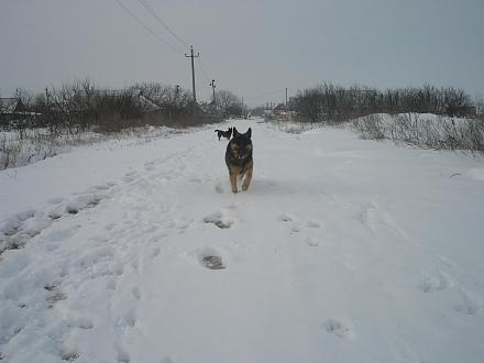     
: 24  2011 045.jpg
: 647
:	110.3 
ID:	6597