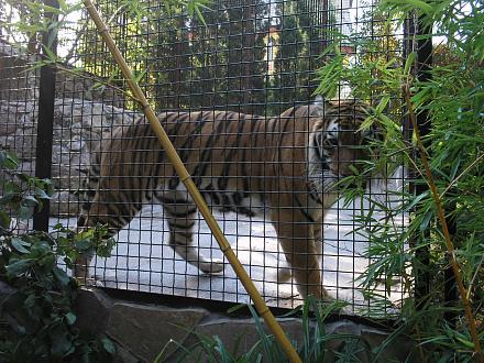     
:  2011 095.jpg
: 681
:	343.1 
ID:	7064