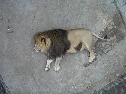 Нажмите на изображение для увеличения
Название: Крым октябрь2011 119.jpg
Просмотры: 582
Размер: 256.0 Кб
ID: 7070