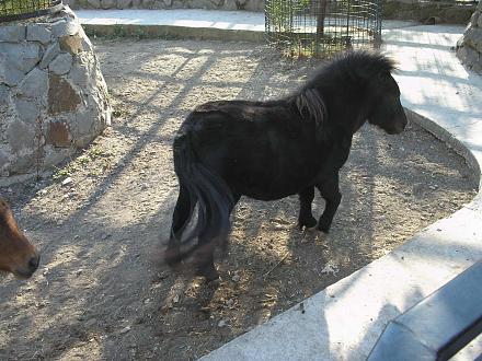 Нажмите на изображение для увеличения
Название: Крым октябрь2011 131.jpg
Просмотры: 607
Размер: 314.7 Кб
ID: 7071