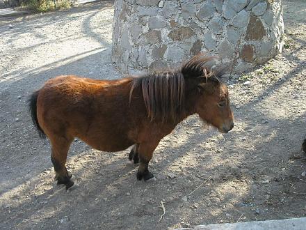 Нажмите на изображение для увеличения
Название: Крым октябрь2011 132.jpg
Просмотры: 595
Размер: 351.6 Кб
ID: 7072