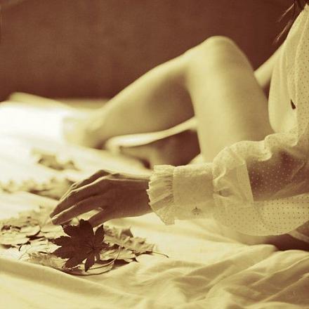    
: 1247036361_1221152775_autumn_feeling_by_bittersea.jpg
: 1177
:	49.9 
ID:	7159