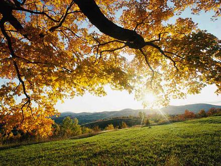     
: autumn_leaves.jpg
: 907
:	88.4 
ID:	7207