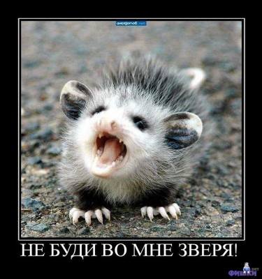 : x_69162452.jpg
: 2316

: 34.3 