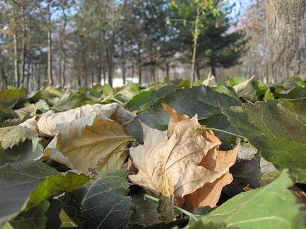     
: IMG_4074.jpg
: 537
:	186.4 
ID:	7540