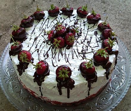     
: tort_2.jpeg
: 1451
:	104.9 
ID:	7583