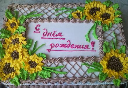     
: tort_DR.jpeg
: 938
:	89.6 
ID:	7587