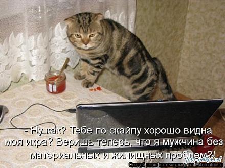     
: 1292608515_foto-prikol.net_kotomatricy-pyatnicy-19.jpg
: 871
:	77.1 
ID:	7738