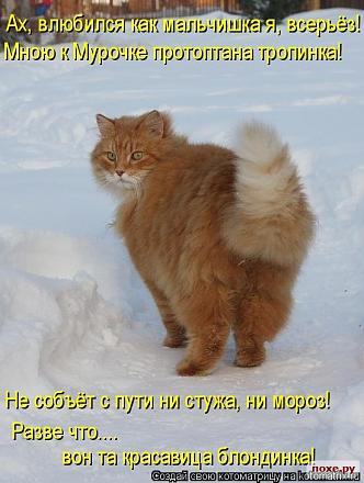     
: 1287776306_711478.jpg
: 914
:	76.3 
ID:	7740