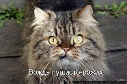     
: 1303932652_1303854158_808539.jpg
: 1136
:	19.8 
ID:	7741
