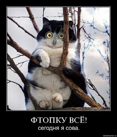     
: ---42542.jpeg
: 976
:	109.7 
ID:	7742