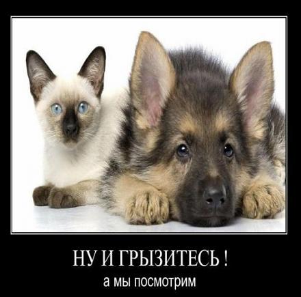     
: 23e1cfd600b2444b5b1a154554411.jpg
: 1097
:	35.2 
ID:	7746