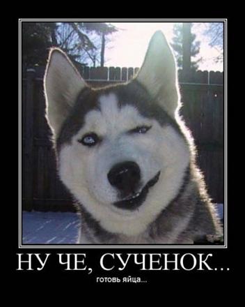     
: 7d342151715fb6e5dbdb0b3ed20fc11a.jpg
: 907
:	128.9 
ID:	7747