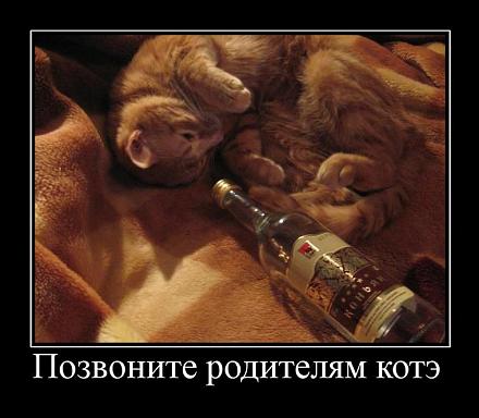     
: 30.jpg
: 940
:	217.1 
ID:	7797
