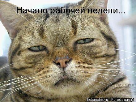     
: 8[1].jpg
: 1094
:	64.9 
ID:	7825