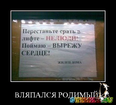 : 1261040844_5udolhro2smk.jpg
: 723

: 25.0 