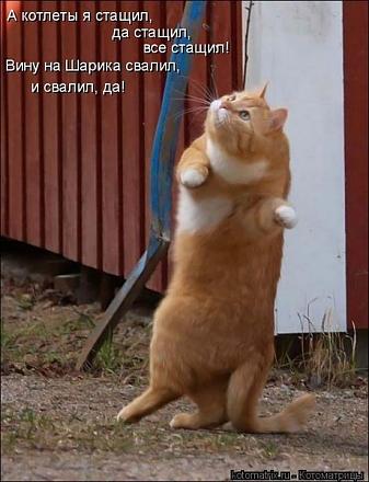 Нажмите на изображение для увеличения
Название: 579655.jpg
Просмотры: 705
Размер: 68.1 Кб
ID: 8374