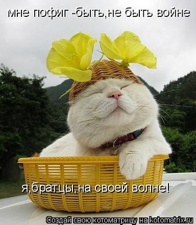     
: 1080739.jpg
: 759
:	39.8 
ID:	8420