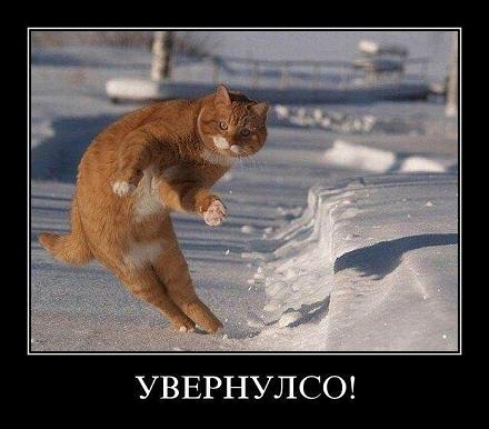 Нажмите на изображение для увеличения
Название: 021.jpg
Просмотры: 707
Размер: 65.9 Кб
ID: 8438