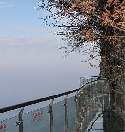     
: glass-road-02.jpg
: 1120
:	82.3 
ID:	8485