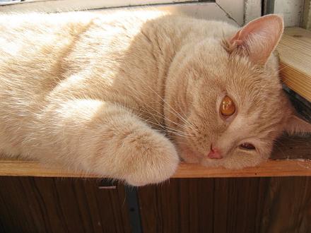     
: IMG_1144.jpg
: 712
:	76.4 
ID:	8730