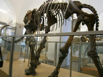 Нажмите на изображение для увеличения
Название: Мамонт.jpeg
Просмотры: 976
Размер: 61.8 Кб
ID: 8924