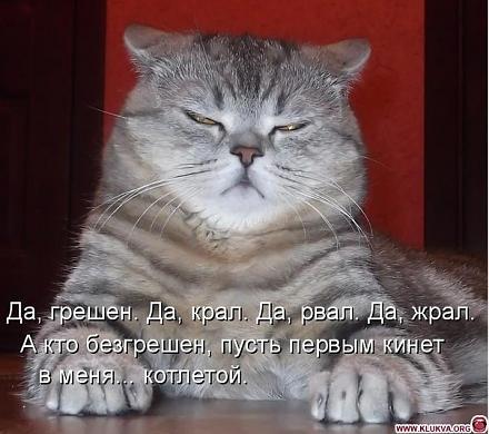     
: x_e603646b.jpg
: 795
:	71.7 
ID:	8994