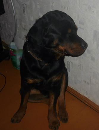     
: .jpeg
: 1112
:	21.2 
ID:	9170