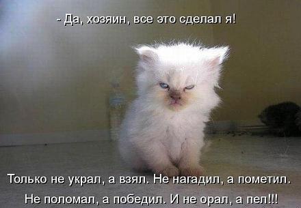     
: pb-YbRvl5eA.jpg
: 770
:	38.2 
ID:	9265