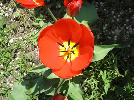     
: - 2012 024.jpg
: 809
:	78.4 
ID:	9303
