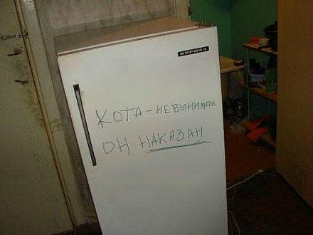     
: x_21228a73.jpg
: 734
:	29.1 
ID:	9482