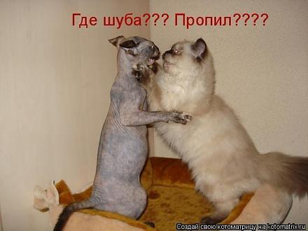     
: DuvNQFDub2Q.jpg
: 634
:	42.5 
ID:	9556