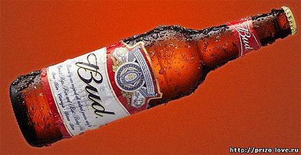     
: bud.jpg
: 1079
:	45.3 
ID:	9604