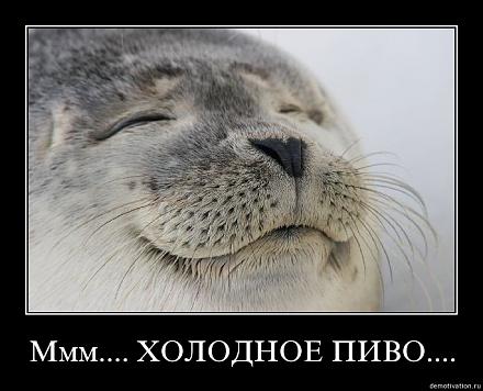     
: vkdkwnlq.jpg
: 795
:	129.4 
ID:	9608