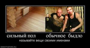 : 7807_silnyij-pol-obyichnoe-byidlo_thumbnail.jpg
: 1139

: 10.2 