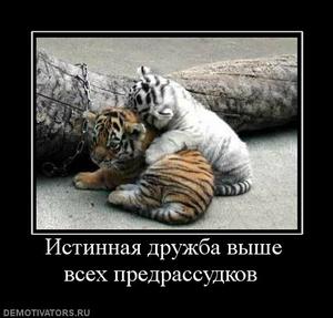 : 39687_istinnaya-druzhba-vyishe-vseh-predrassudkov-_thumbnail.jpg
: 1110

: 16.4 