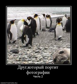 : 285429_drugkotoryij-portit-fotografii_thumbnail.jpg
: 1100

: 20.3 