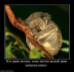 : 490914_kto-rano-vstaet-tomu-potom-tselyij-den-hochetsya-spat-_thumbnail.jpg
: 1073

: 15.4 