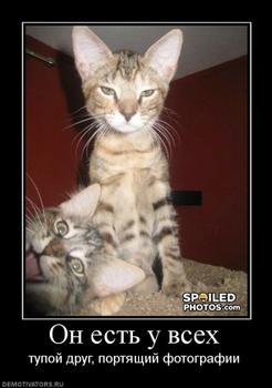 : 518713_on-est-u-vseh_thumbnail.jpg
: 1088

: 13.5 