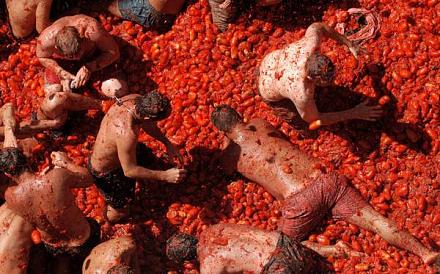     
: tomatina1.jpg
: 612
:	55.6 
ID:	8284