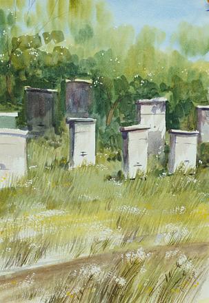 Нажмите на изображение для увеличения
Название: Ульи.jpg
Просмотры: 1365
Размер: 151.2 Кб
ID: 13780