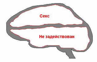 Название: mozg_blondinki.jpg
Просмотры: 787
Размер: 6.1 Кб