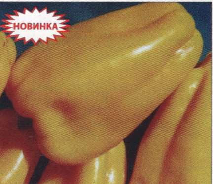 Название: Гладиатор - сладкий перец.jpg
Просмотры: 1519
Размер: 34.1 Кб