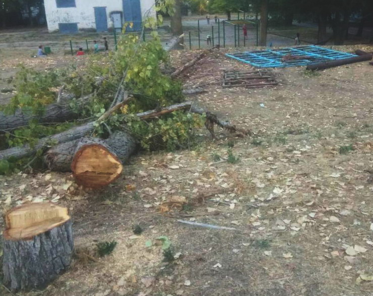 Название: Бендеры Солнечный спиленые деревья.jpg
Просмотры: 1733
Размер: 147.2 Кб