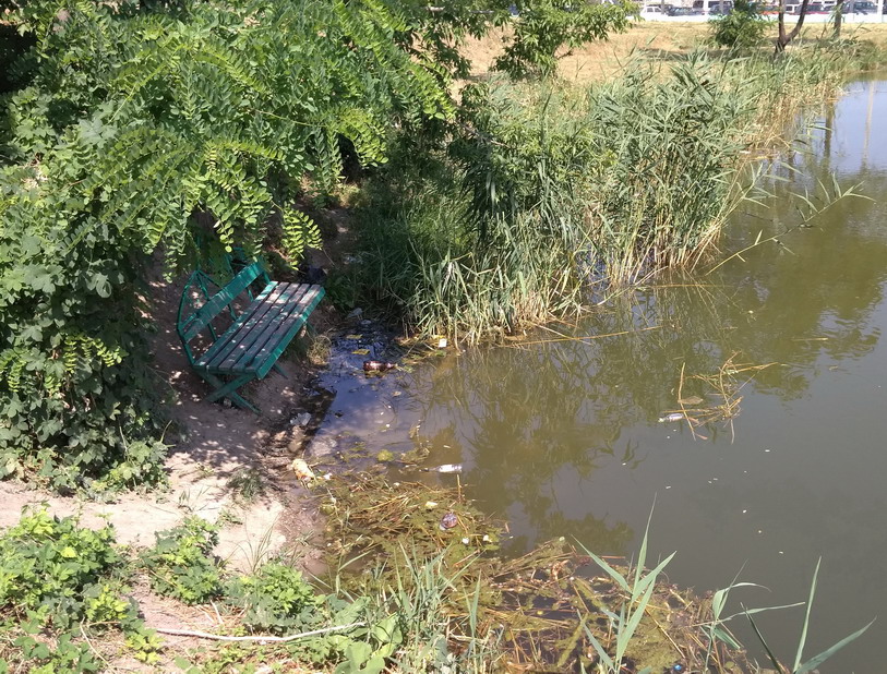 Название: Скамейка у озера.jpg
Просмотры: 1404
Размер: 268.6 Кб