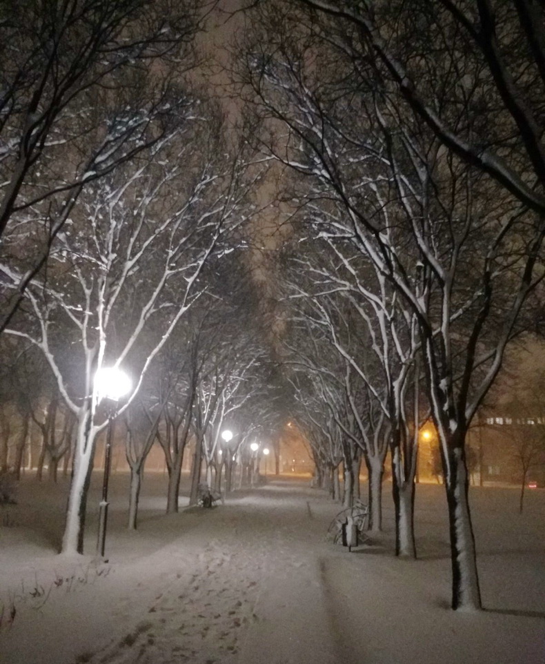Название: Парк кирова вечером зимой.jpg
Просмотры: 548

Размер: 264.2 Кб