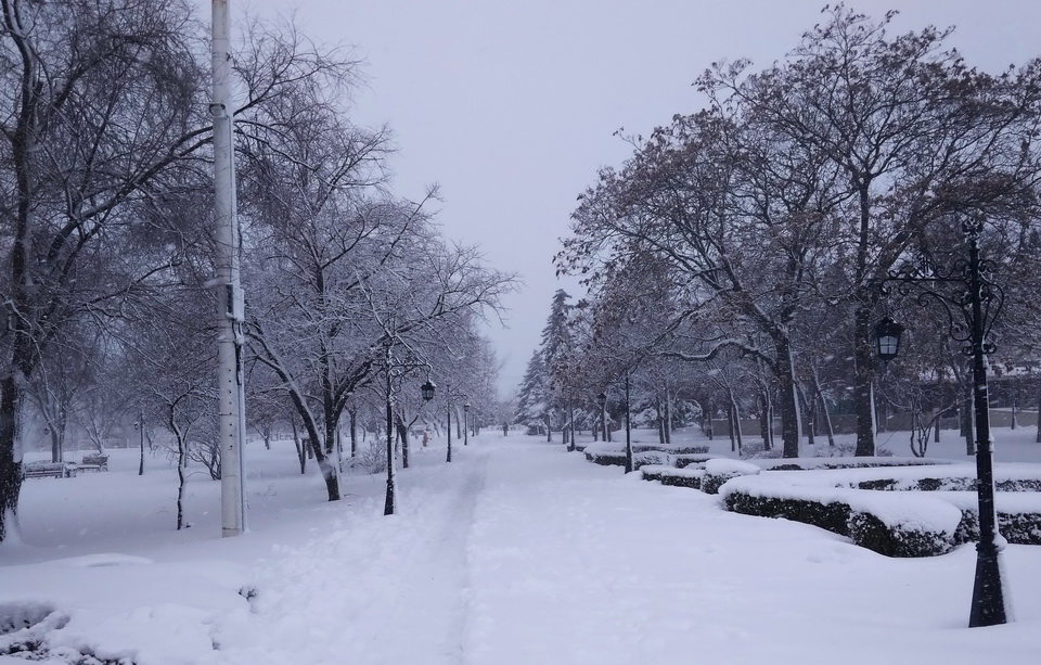 Название: Екатерининский парк зимой 2021.jpg
Просмотры: 372

Размер: 259.8 Кб