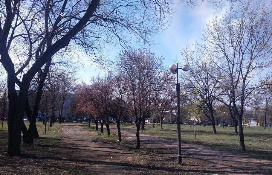 Название: Весна в Парке Кирова.jpg
Просмотры: 932

Размер: 274.0 Кб