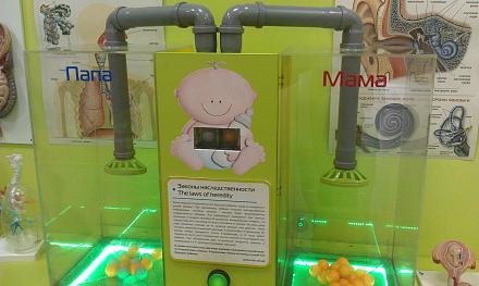 Нажмите на изображение для увеличения
Название: Законы наследственности - пол ребенка.jpg
Просмотры: 593
Размер: 77.3 Кб
ID: 20792